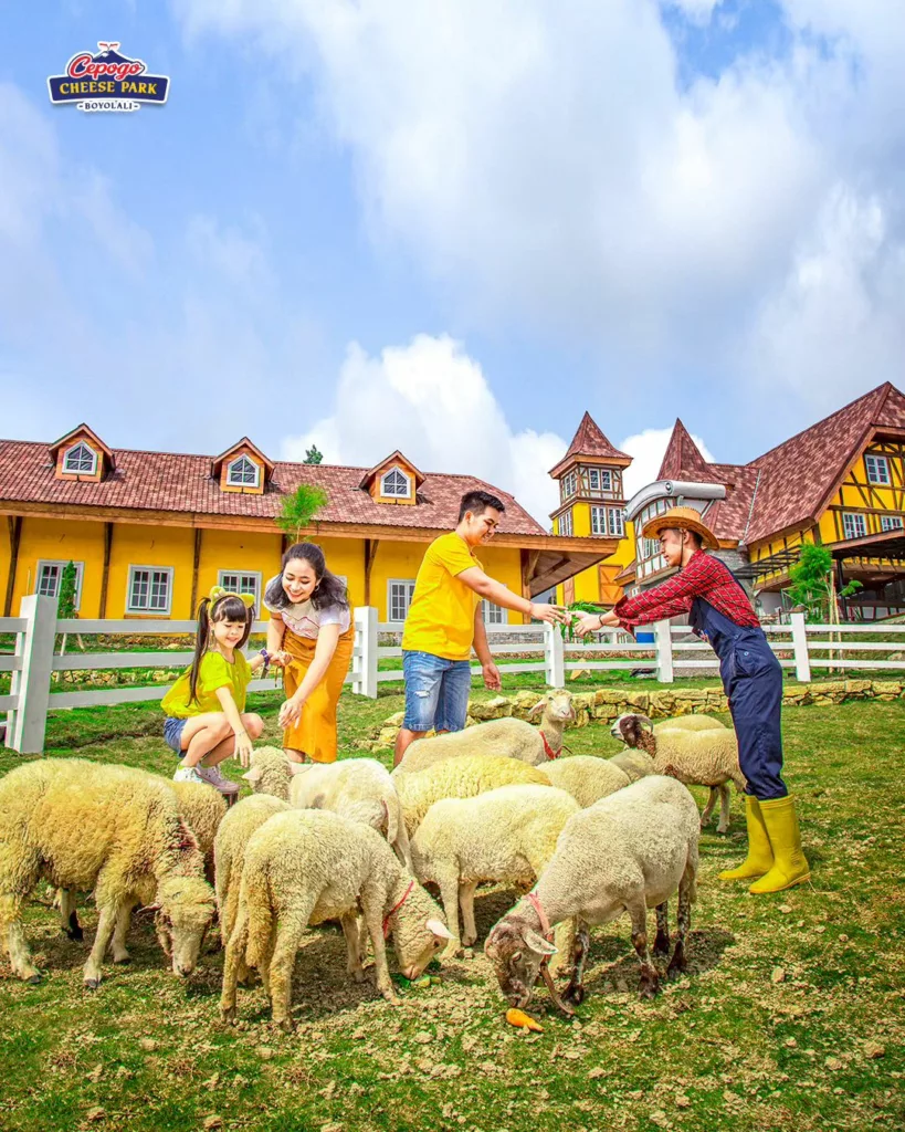 Liburan Keluarga Seru di Cimory Boyolali: Cepogo Cheese Park
